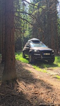 Q7 4.2 TDI 240kw + CHIP OFFROAD (více info)