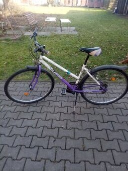 Kolo