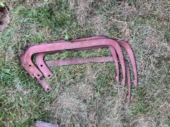 lis forsricht- háky