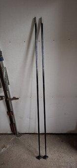 Hůlky na běžky Gabel 160 cm