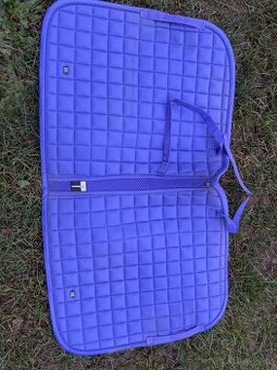 Eskadron purple dynamic DL