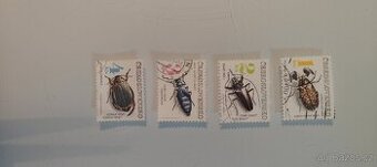 Ochrana přírody – chránění brouci