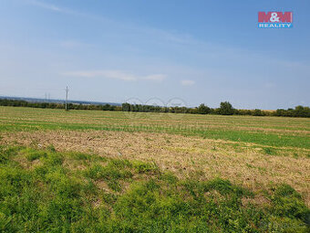 Prodej pole, 59311 m², Říkovice - 1