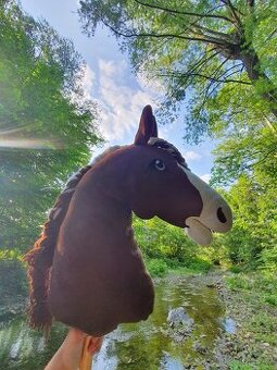 Hobby horse