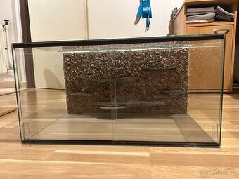 Terarium