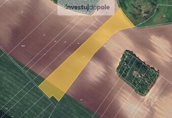 Prodej podílu 7/12 pole 7 015 m², Čejč, ev.č. 2025-09-15-9