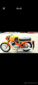 Jawa bizon
