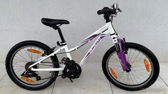 Dětské kolo Specialized Hotrock 20"