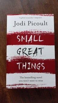 Jodi Picoult - Small great things - ANGLICKY