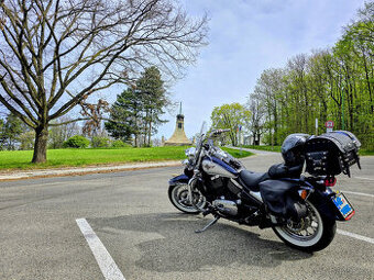 Kawasaki Vulcan VN800