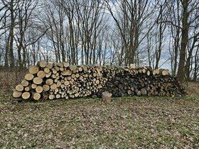 Palivové dřevo - JASAN 10 PRM - kulatina délky 1m