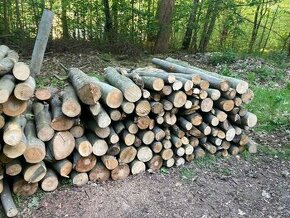 Palivově dřevo