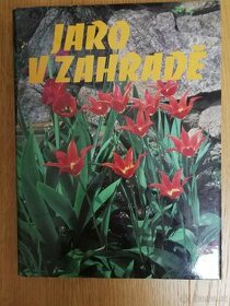Jaro v zahradě