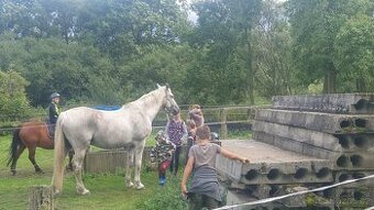 Letní stanový koňský tábor s Hobby horse tématikou