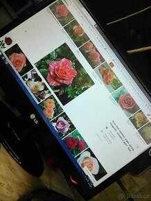 lcd monitor