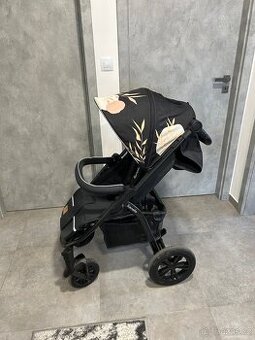 Kocarek Lionelo