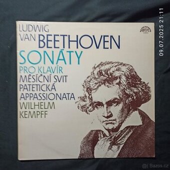 LP VINYL - ČESKÁ MUZIKA