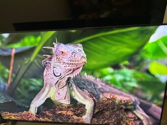 Televize Sony KD-55X85L (KD55X85LAEP)