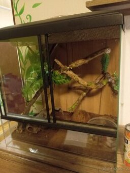 Terarium 45x45x32 - 1