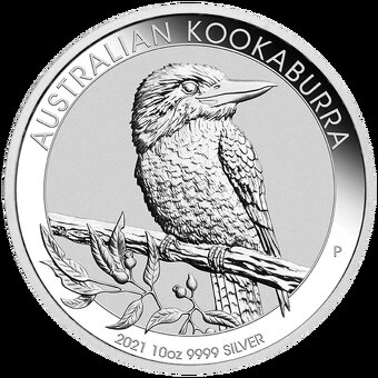 Stříbrné mince a slitky 10 oz