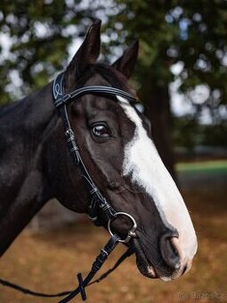 Prodám uzdecku H4U Care