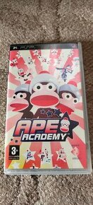 Hra pro PlayStation Portable (PSP)