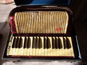 akordeon Cantulia