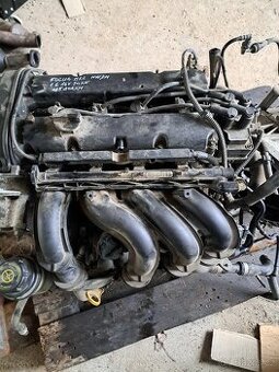 Motor HWDA Ford Focus MK2 1.6 16V 74kW 185 242km