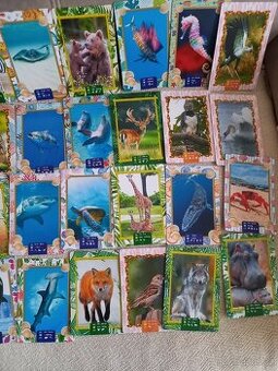 Sběratelské kartičky, zvířata