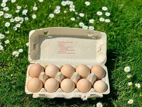Přebytek domácích vajec od šťastných slepic