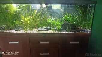 Akvarium