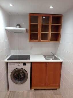Se zahrádkou, atelier 1kk s patrem na spaní, Praha Michle