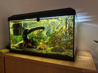 Akvárium JUWEL 60l