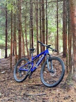 SPECIALIZED EPIC 8 COMP L 2024
