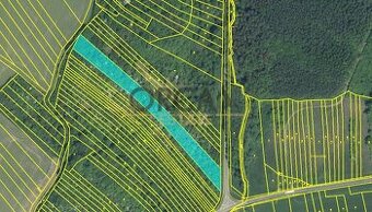 Prodej 1,8 ha pozemků v k. ú. Březolupy - 1