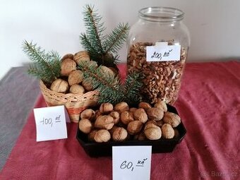 Vlašské ořechy loupané  2025