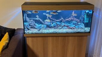 Akvarijní set Juwel Rio 240 dub světlý - 1