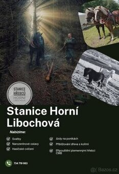 Nabizime služby s koňmi