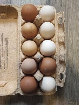 Vejce slepičí čerstvá