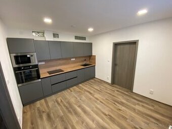 Pronájem byt 2+1 Libina