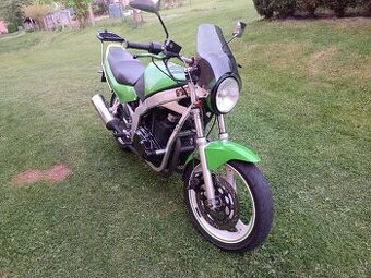 Suzuki GS 500E