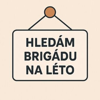 Brigáda, Hledám brigádu na léto