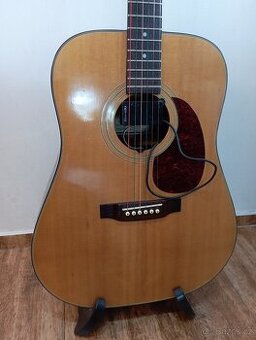 Kytara Sigma Guitars
