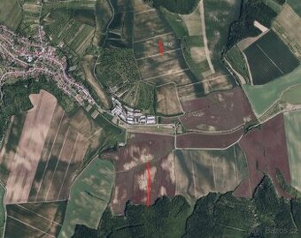 Zemědělská půda, prodej, Boleradice, Břeclav - 1