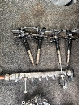 Vstřiky 2.0 TDI 125kw CEGA