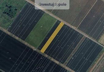 Prodej pole v k.ú. Velké Bílovice
