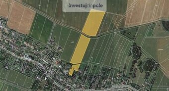 Prodej pole v k.ú. Dešná
