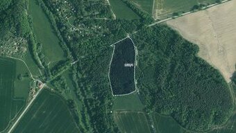 Les, prodej, Dolní Stropnice, Římov, České Budějovice