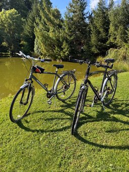 Městské a cestovní kola Ammaco.