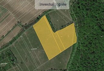 Prodej louky 24 706 m², Horní Věstonice, ev.č. 2025-07-04